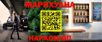 стаф Заводоуковск