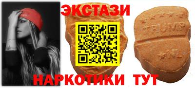 стаф Заводоуковск