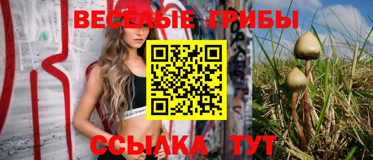 Михайловка  Псилоцибиновые грибы мухоморы  Псилоцибиновые грибы ЛСД  Вход с VPN 