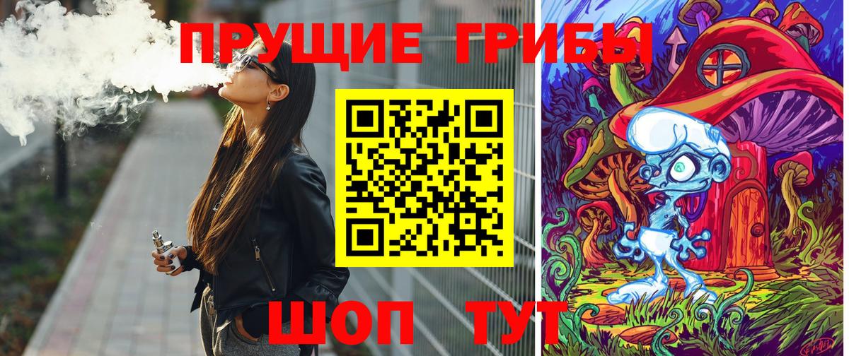 Псилоцибиновые грибы мицелий Михайловка